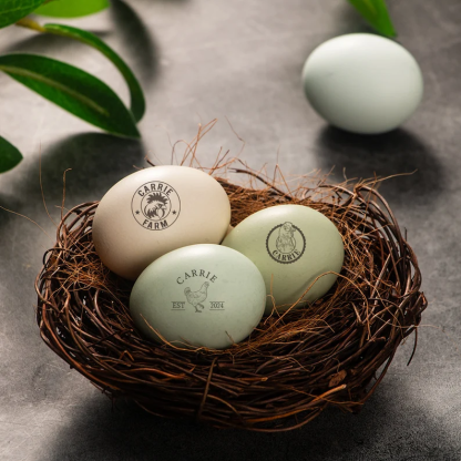 CUSTOM EGG STAMPS Gift for Friend's Backyard Chickens Egg Stamp, Chicken Coop Name Farm Eggs, Chicken Farmer Mini Stamp For Chicken Keeper