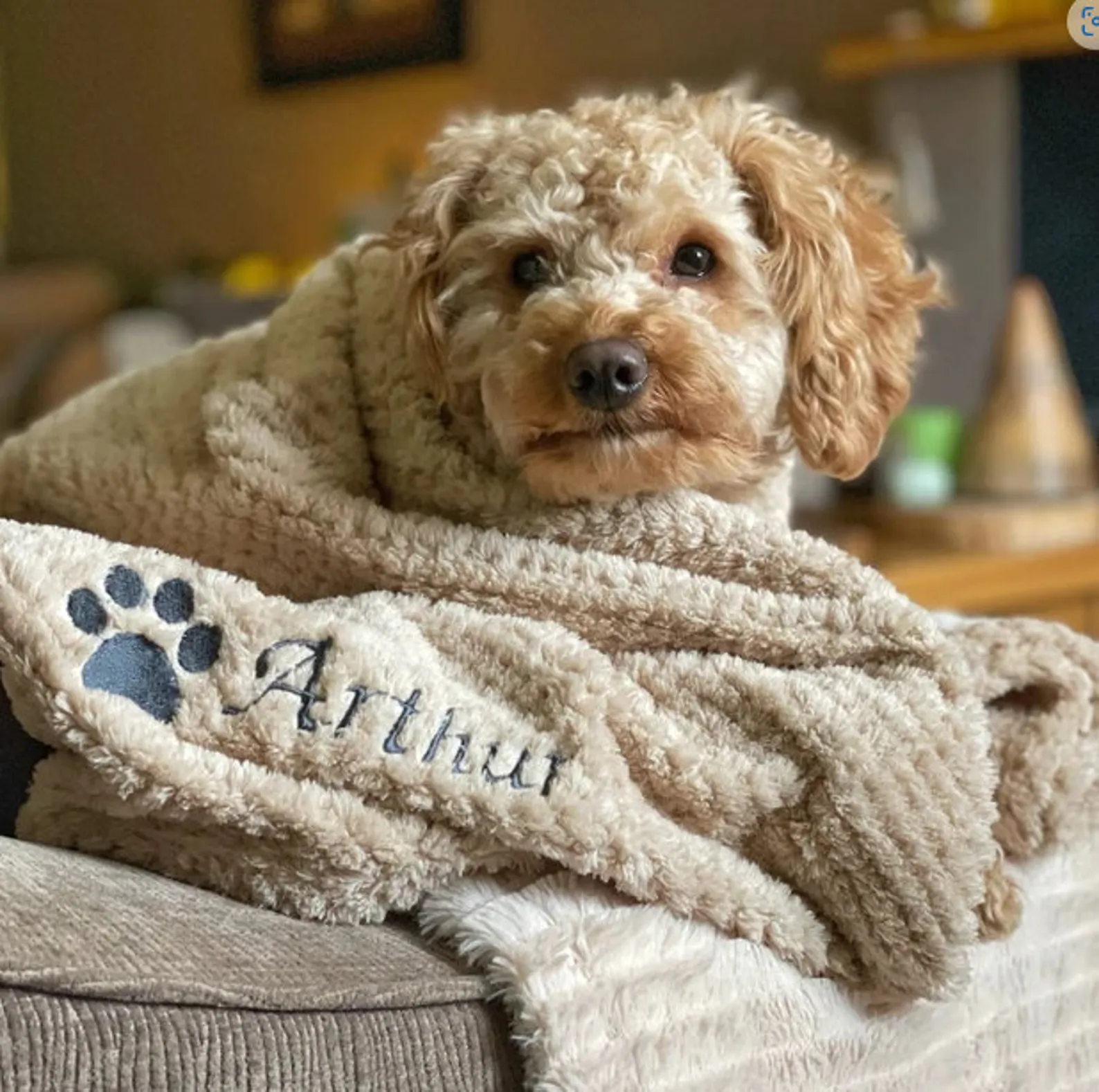 Personalized Warm Pet Blanket, Soft Customizable Blanket for Dogs and Cats | Cozy and Comfy Pet Blanket