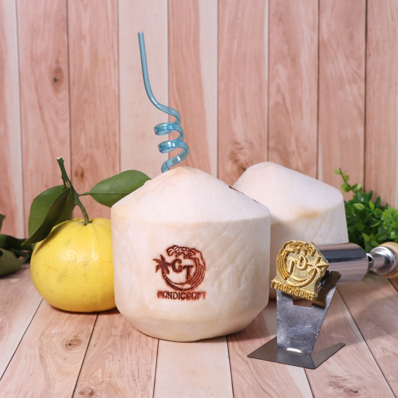 Electric Branding Iron For Coconut Custom Coconut Branding Iron Wooden Box Set Food Branding Iron Wood Brand On Coconut Custom Gift Kit