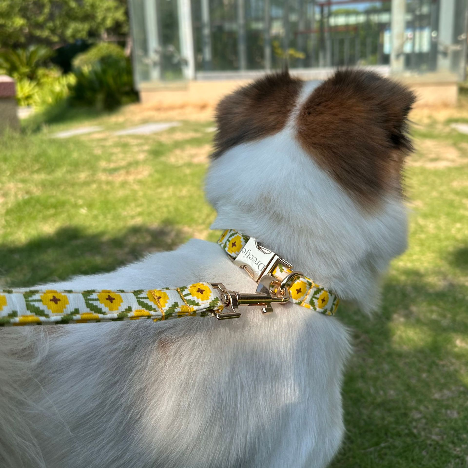 Personalized Floral Pet Collar – Adjustable Collar with Custom Engraved Buckle