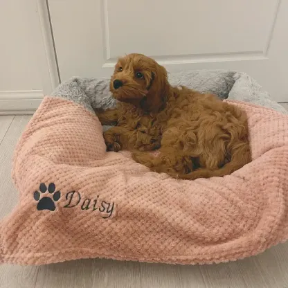Personalized Warm Pet Blanket, Soft Customizable Blanket for Dogs and Cats | Cozy and Comfy Pet Blanket