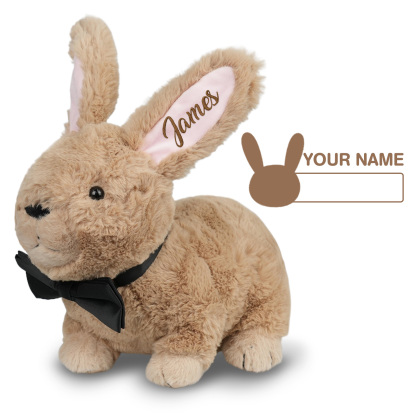 Custom Bunny Plush Embroidered Name, Realistic Bunny Stuffed Animal, Personalised Brown Rabbit for Baby Birthday Easter Gift for Girls Toddlers Kids