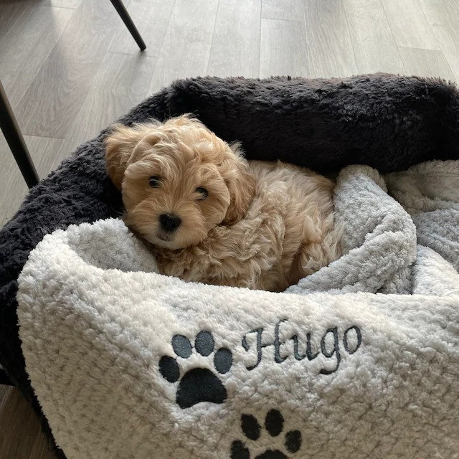 Personalized Warm Pet Blanket, Soft Customizable Blanket for Dogs and Cats | Cozy and Comfy Pet Blanket