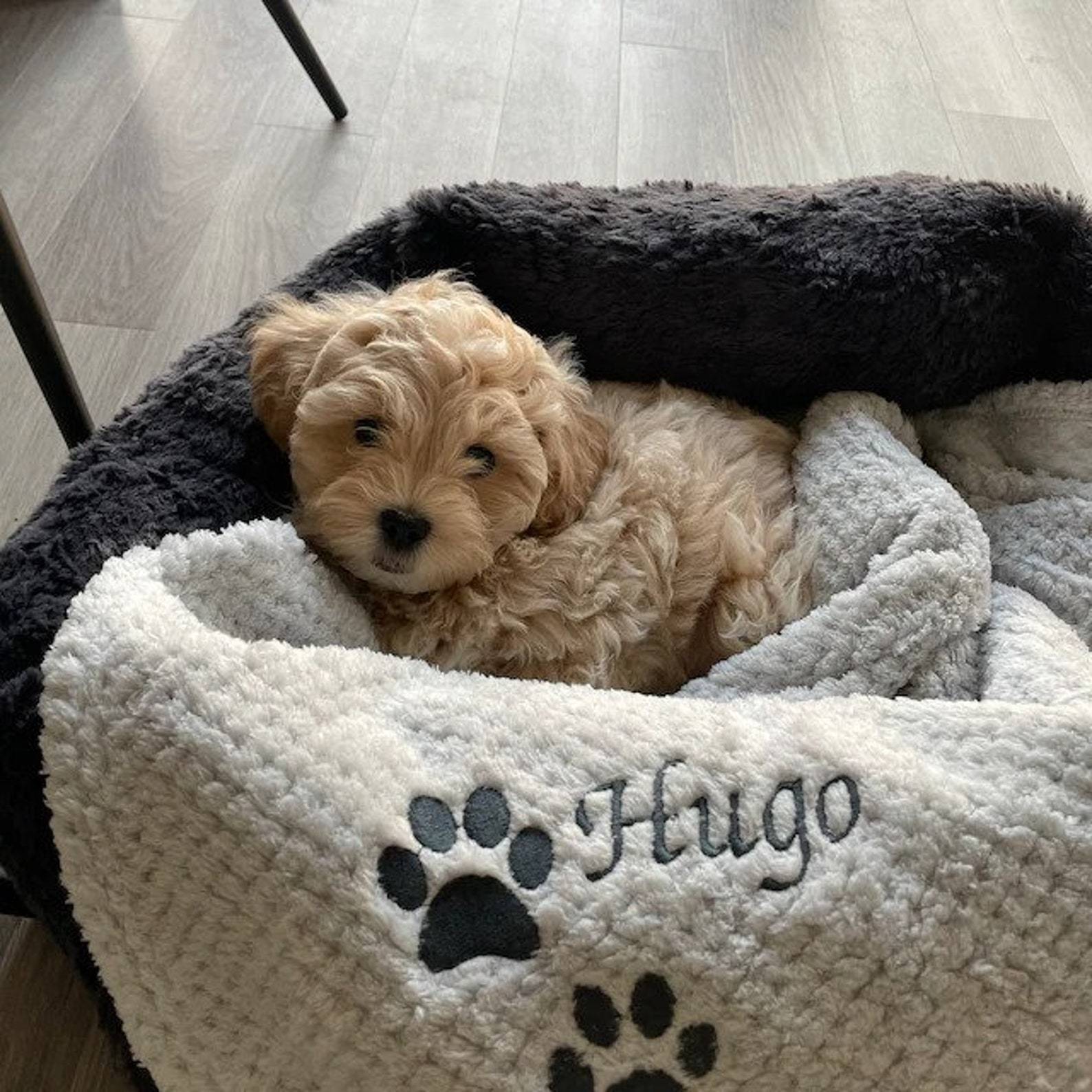 Personalized Warm Pet Blanket, Soft Customizable Blanket for Dogs and Cats | Cozy and Comfy Pet Blanket