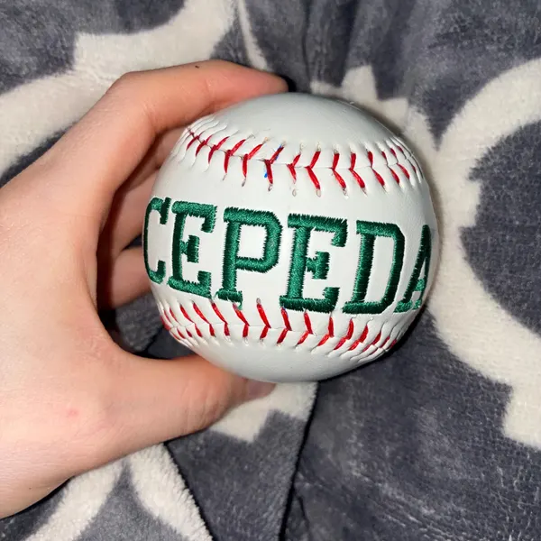 Personalized Baseball, Embroidered Baseball, Softball, Custom Baseball Gift, for kids, for Father’s Day, for sports fan Custom Gift Baseball