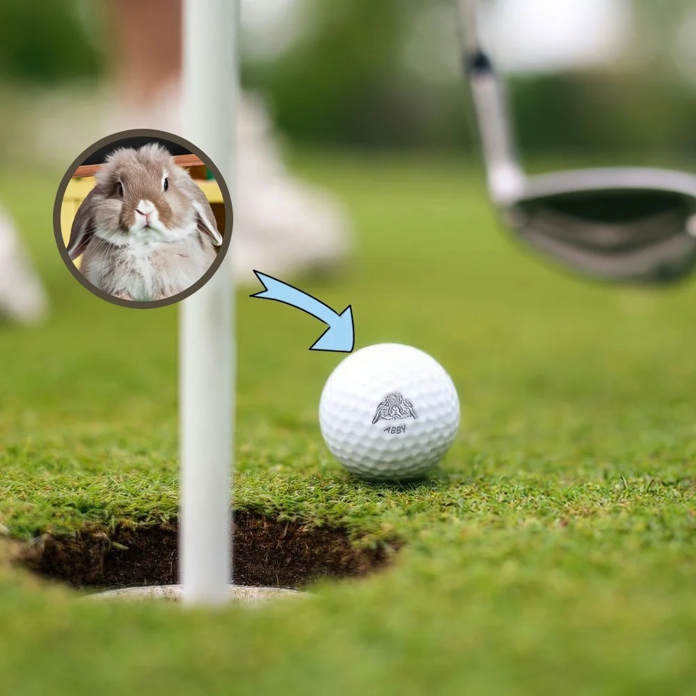 Personalized Pet Avatar Face Photo Golf Ball Stamp with Name Ball Identification Mark Birthday Club Training Gift for Golf Players Enthusiasts