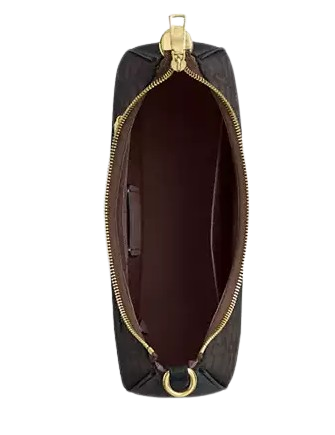 Coach Teri Hobo Bag In Signature Canvas