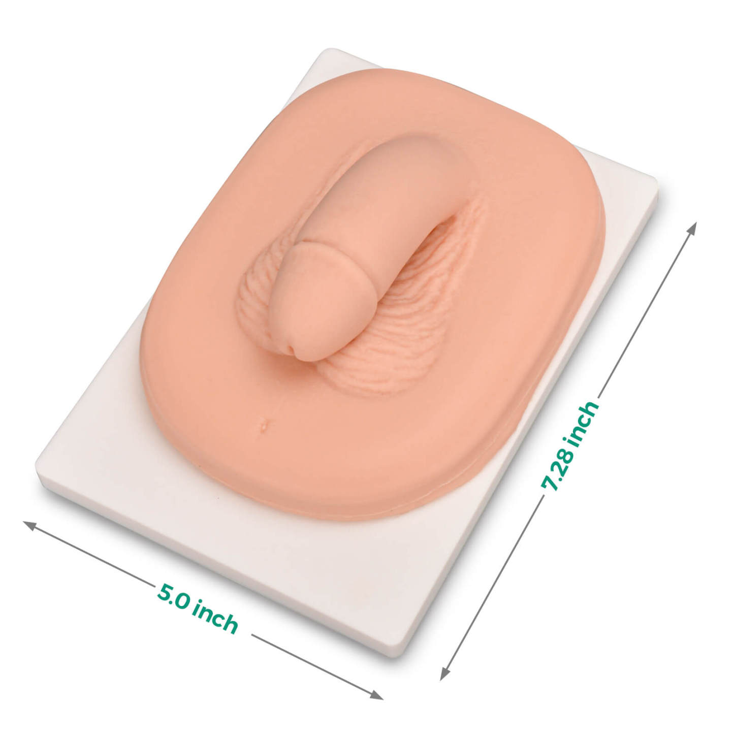 circumcision simulator size