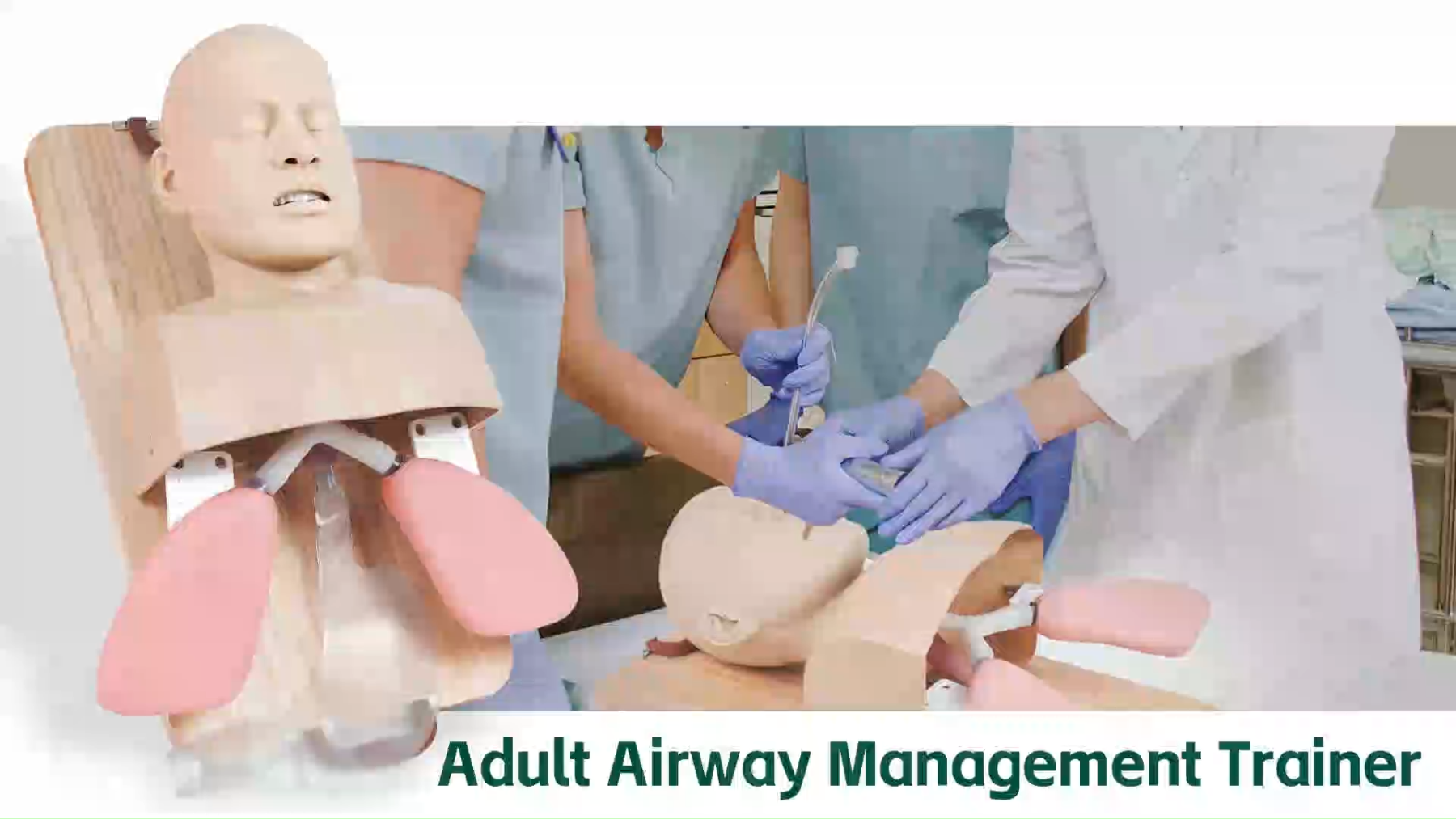 Advanced Adult Intubation Manikin with Full Airway Management System