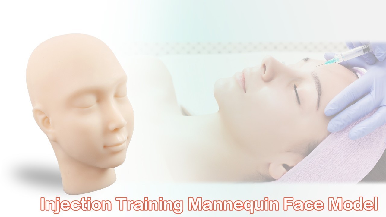 Injection Training Mannequin Face Model