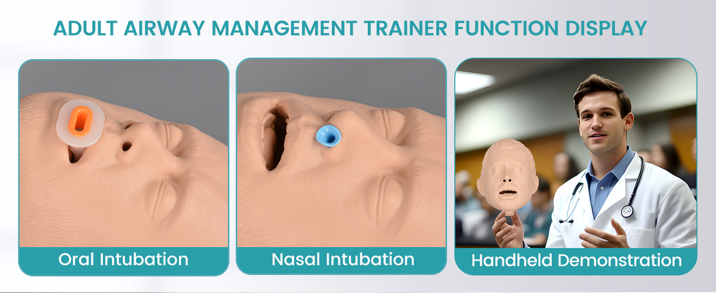 Basic Adult Airway Management Trainer - OPA & NPA Practice Kit