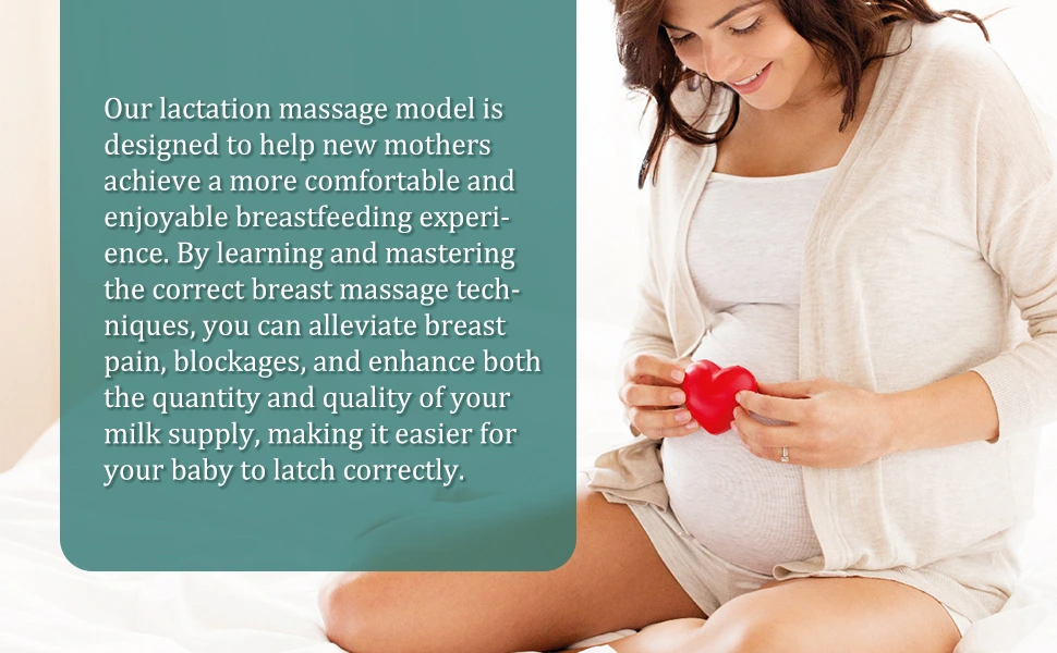 Lactation Breast Models