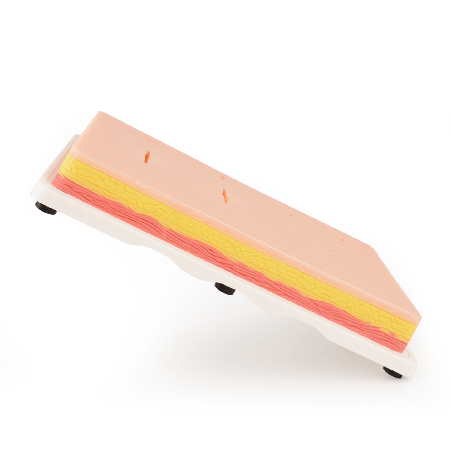 Thicker Pad Suture with Upgraded Wounds, Practice Stand
