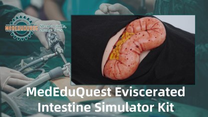 Wearable Abdominal Wound Care Simulator w/ Eviscerated Colon