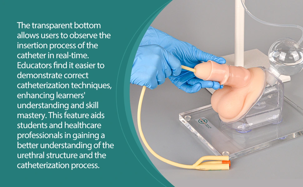 MedEduQuest Male Urinary Catheterization
