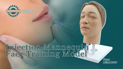 Realistic Facial Injection Manikin with Feminine Features - Nana Model
