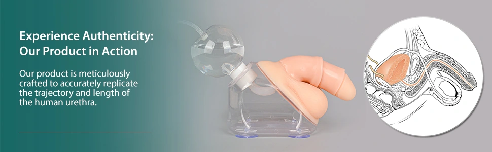 MedEduQuest Male Urinary Catheterization