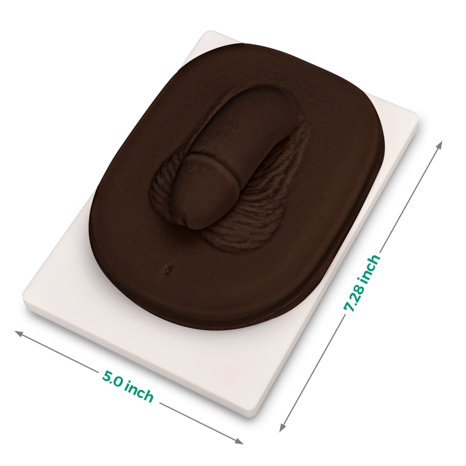 circumcision trainer size