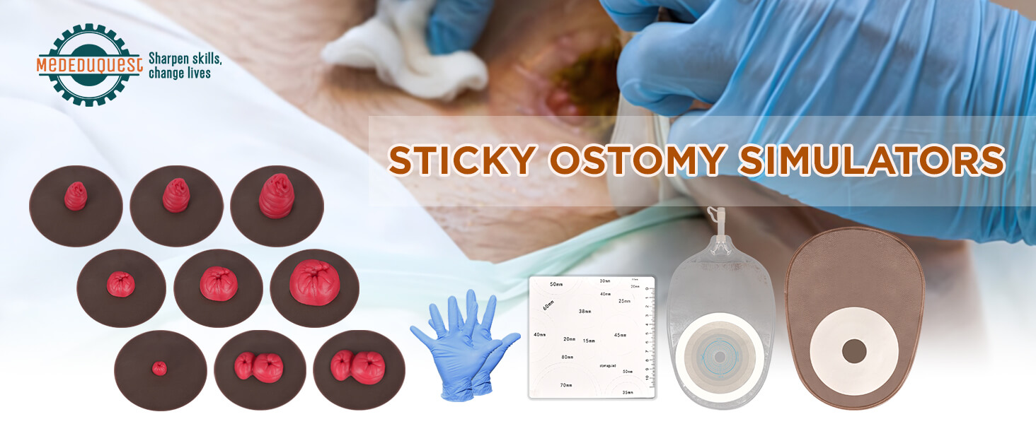 Sticky Stoma Training Models Set