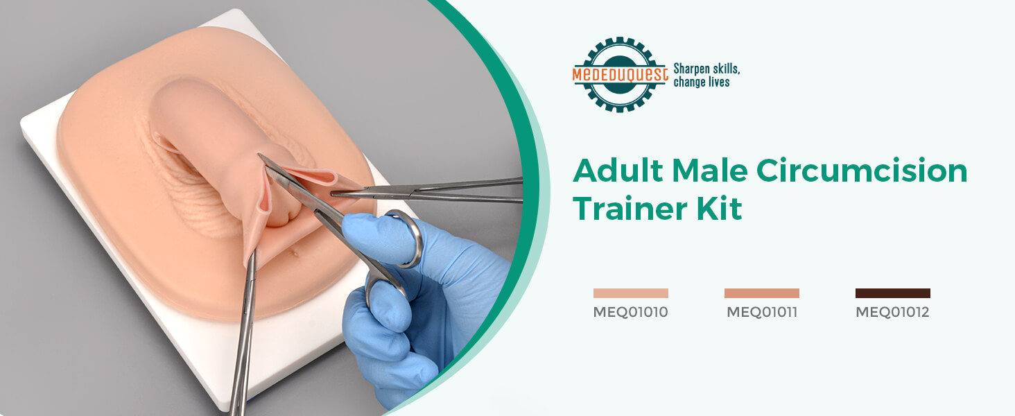 Adult Male Circumcision Trainer Kit