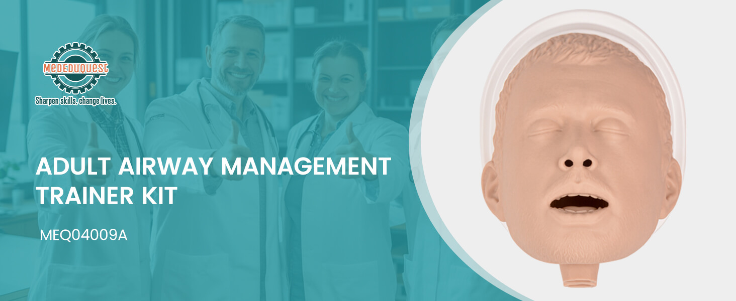 Basic Adult Airway Management Trainer - OPA & NPA Practice Kit