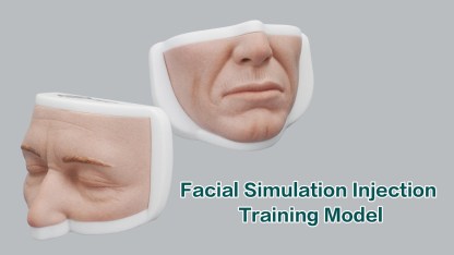 Silicone Female Lower Face Injection Training Model with Anti-Slip Base