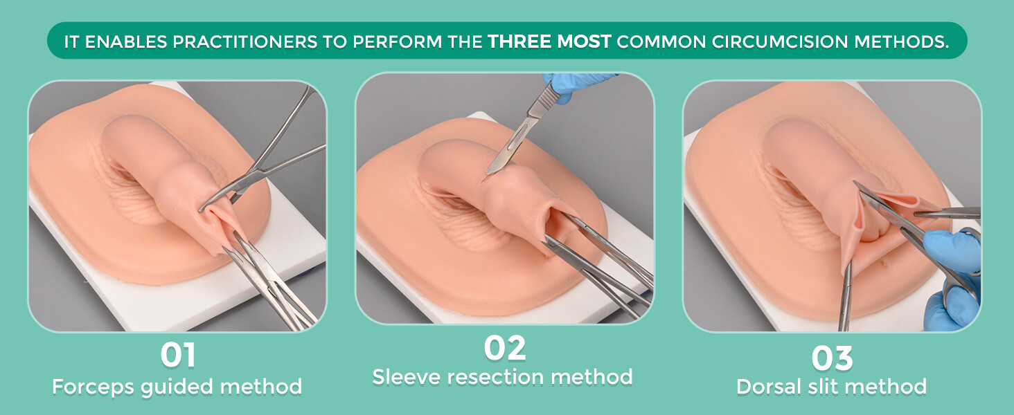 Male Circumcision Simulator for Practicing Circumcision Techniques