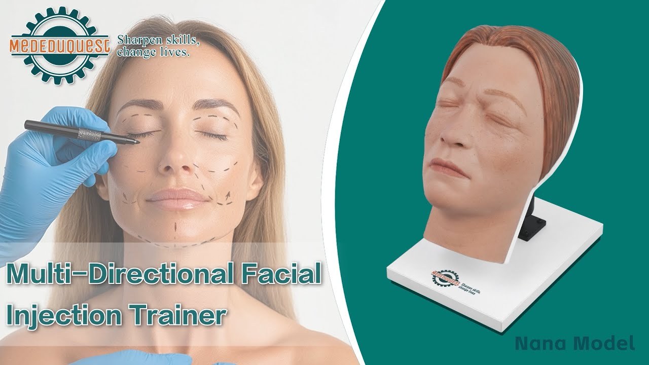 Facial Injection Manikin with Feminine Features - Nana Model