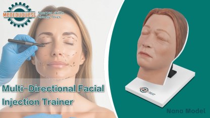 Facial Injection Manikin with Feminine Features - Nana Model