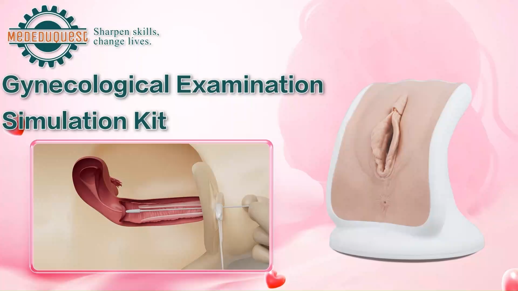 MedEduQuest Advanced Gynecological Examination Training Model