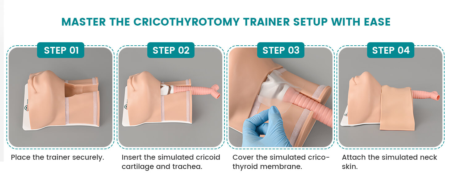 Deluxe Cricothyrotomy Task Trainer - 3 Skin Tones Available