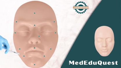Silicone Face Injection Training Model