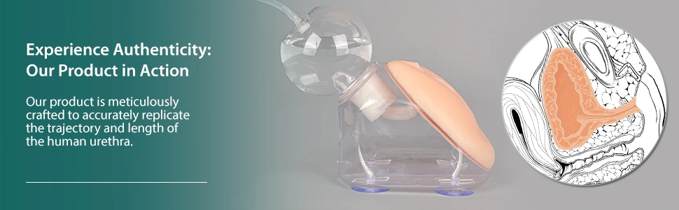 MedEduQuest Female Urinary Catheterization