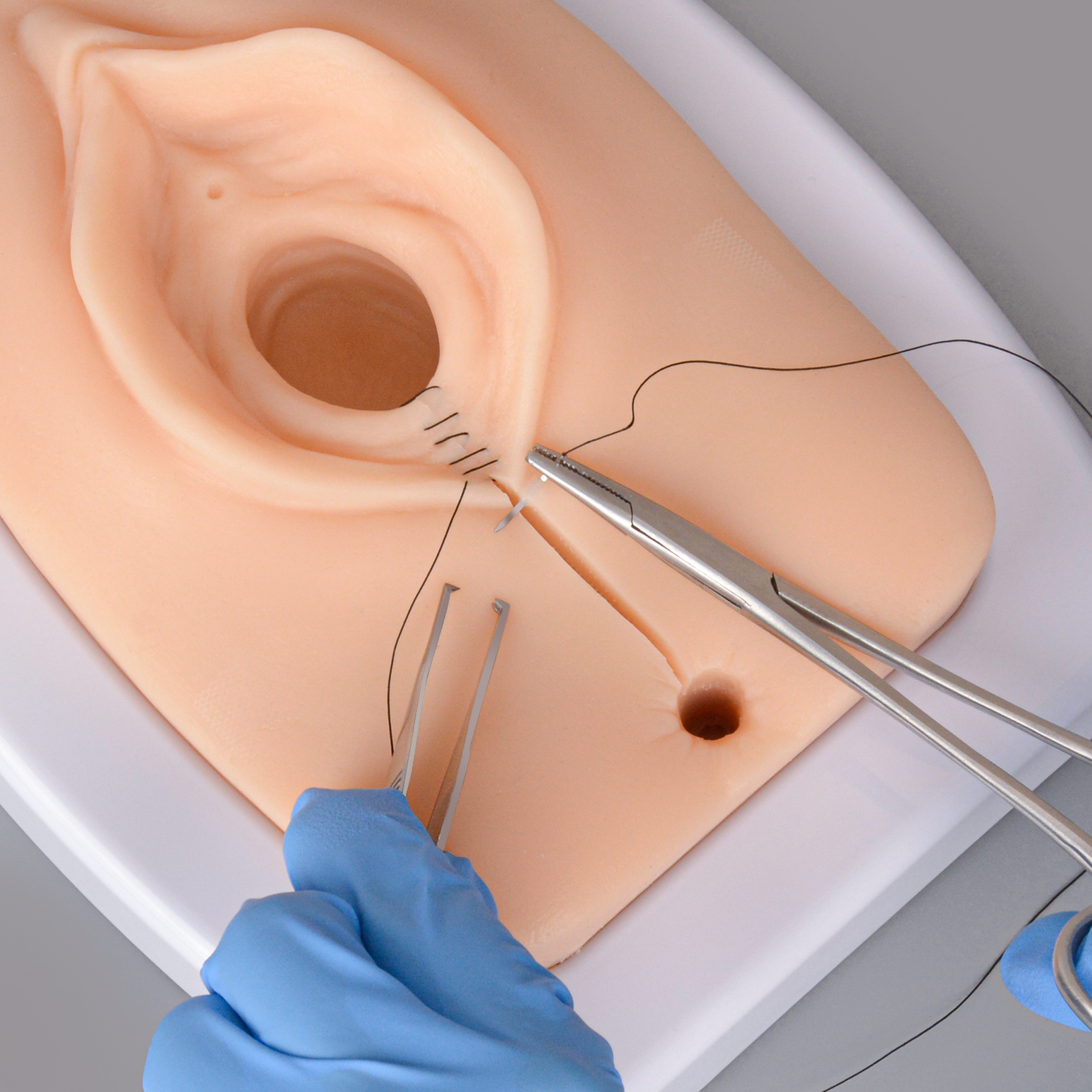 Episiotomy and Suturing Simulator