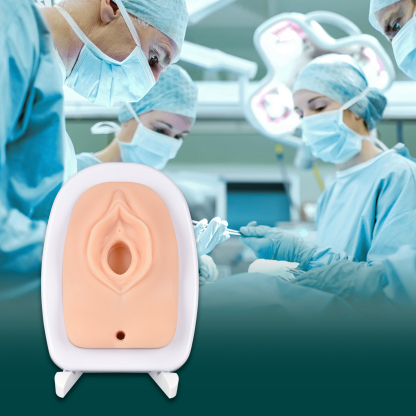 Episiotomy and Suturing Simulator