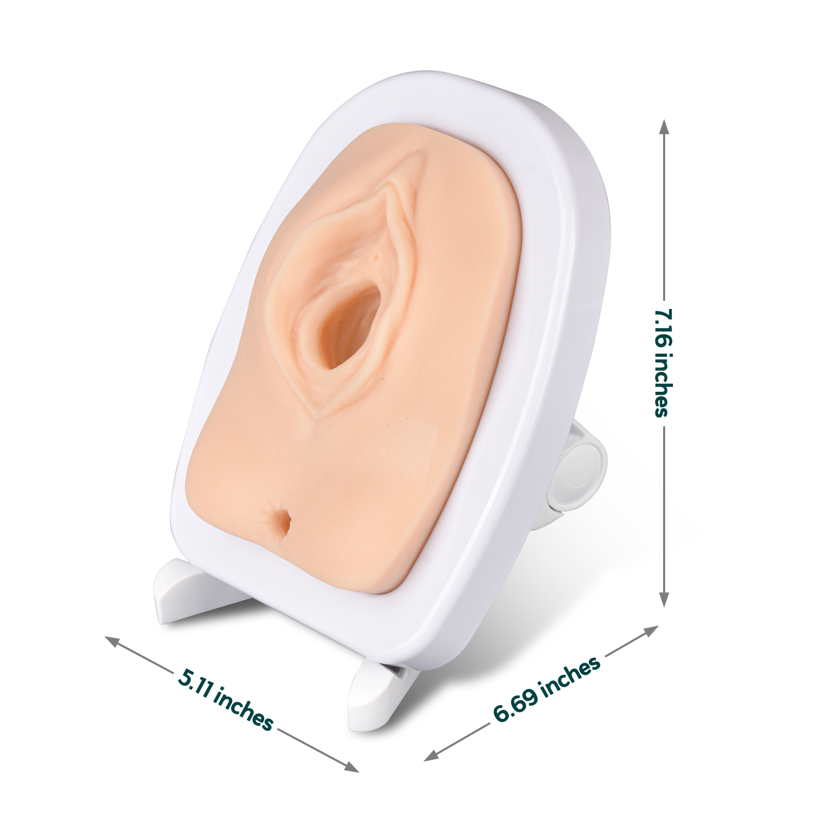 Episiotomy and Suturing Simulator