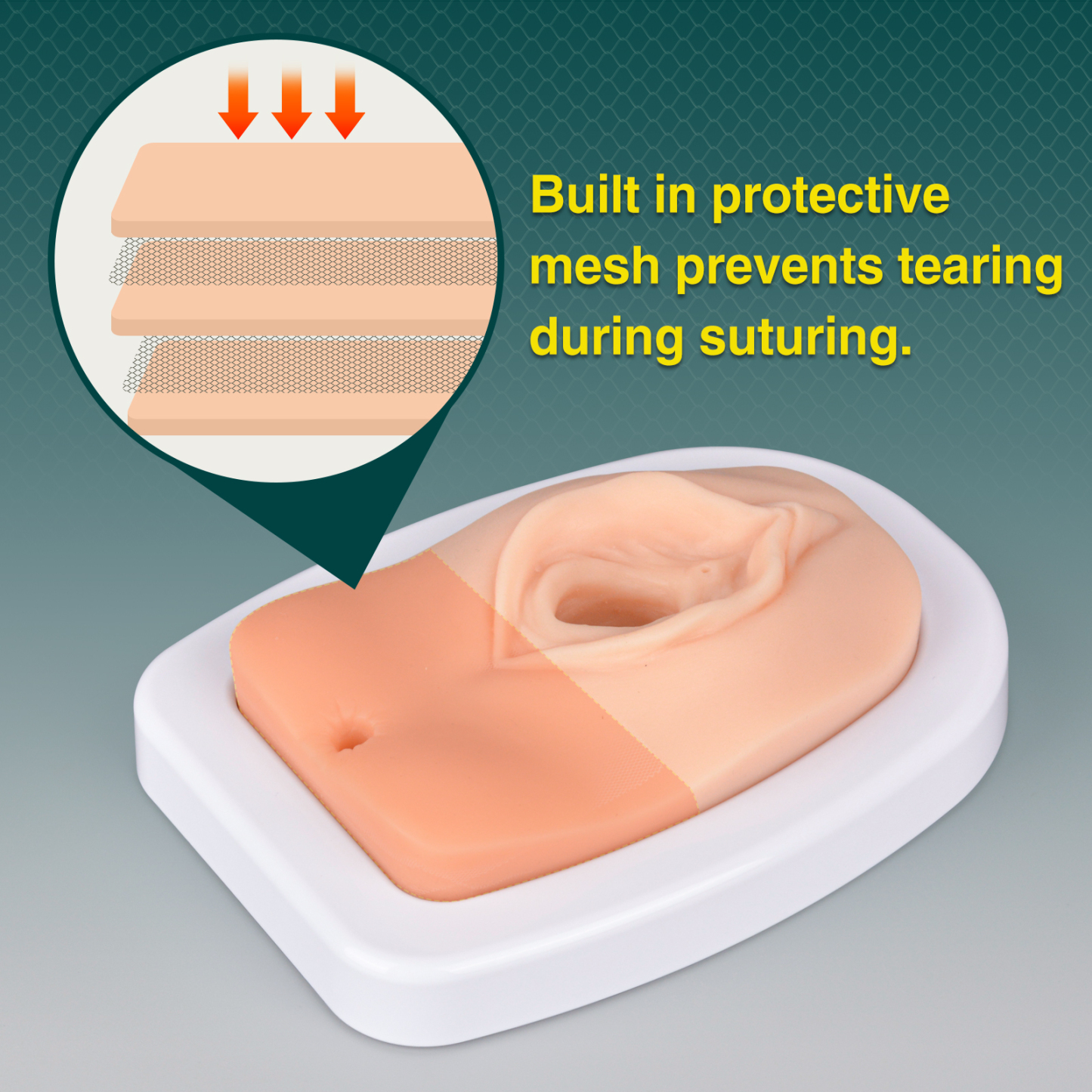 Episiotomy and Suturing Simulator