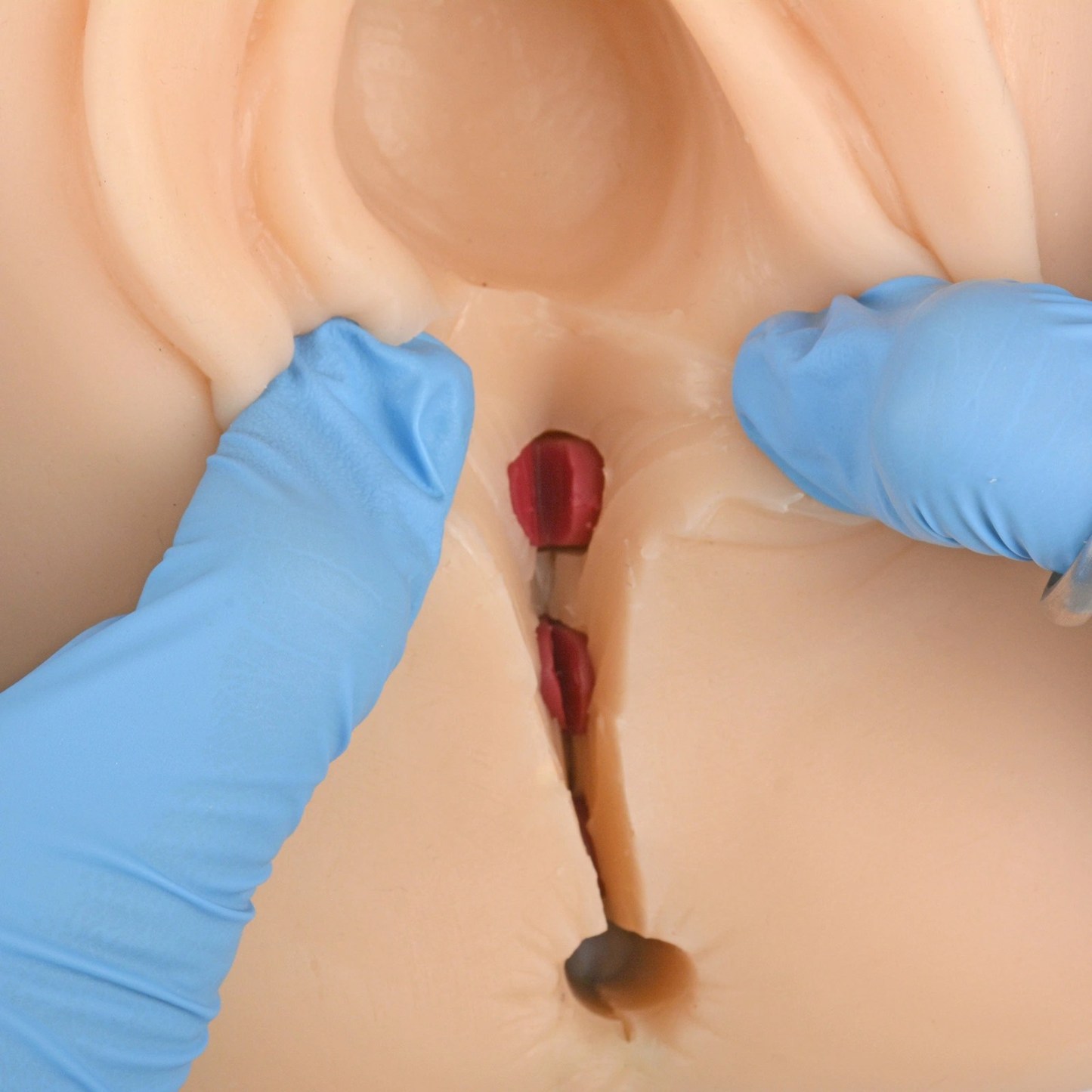 Episiotomy and Suturing Simulator