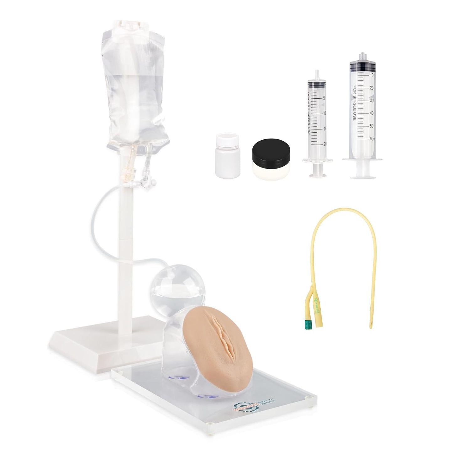 Geriatric Female Catheterization Trainer