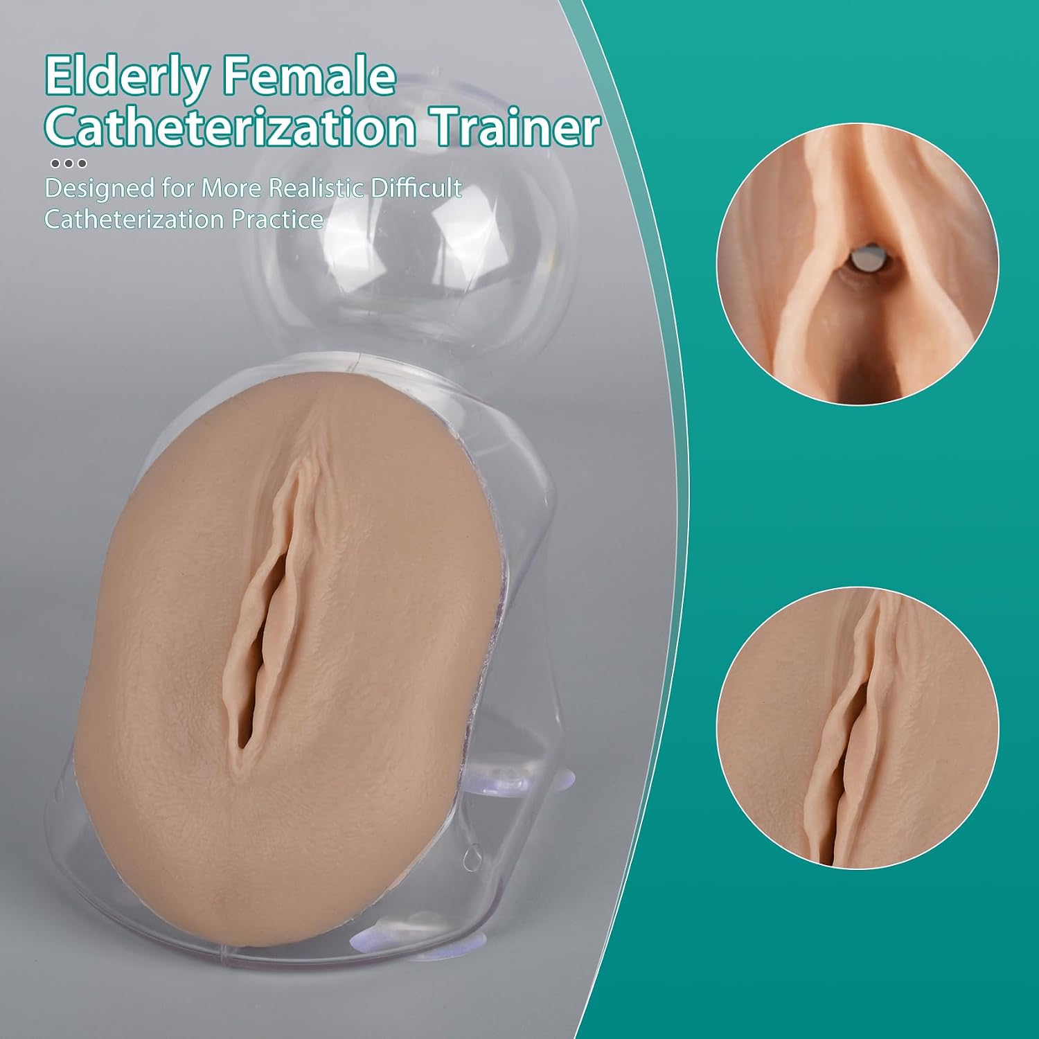 Geriatric Female Catheterization Trainer