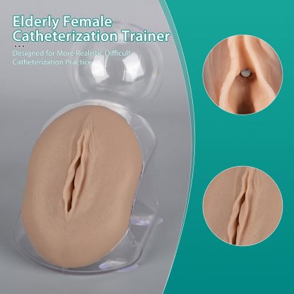 Geriatric Female Catheterization Trainer