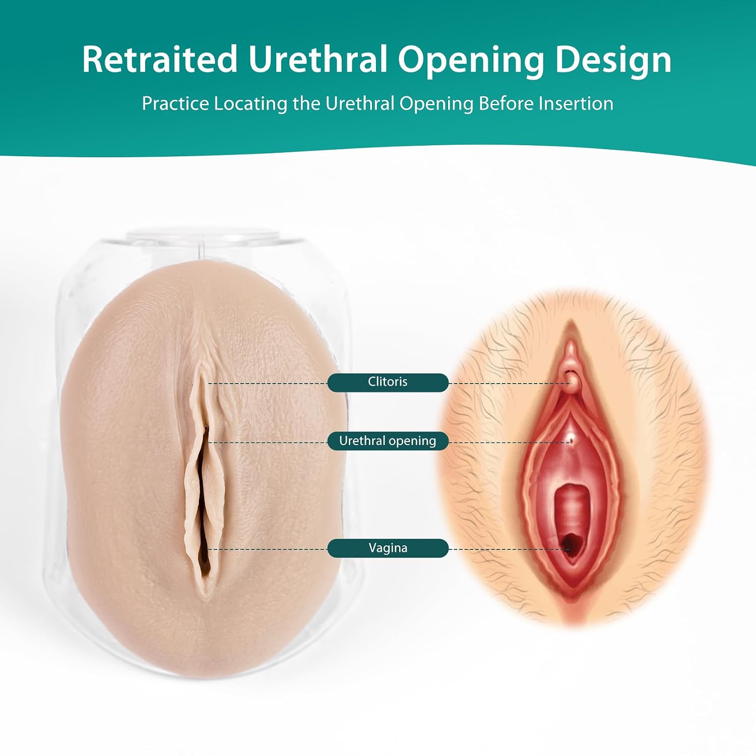 Geriatric Female Catheterization Trainer