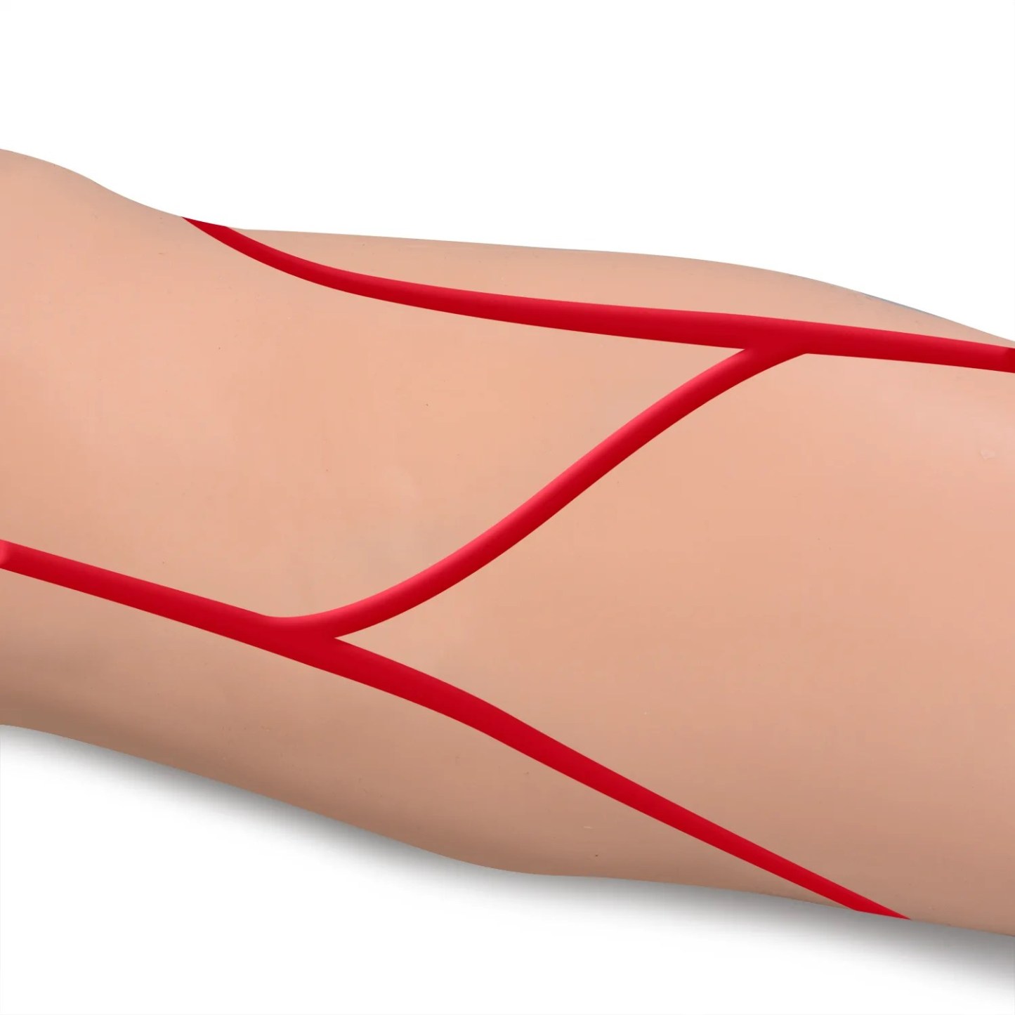 IV Injection Arm for Phlebotomy Venipuncture Cannulation Practice