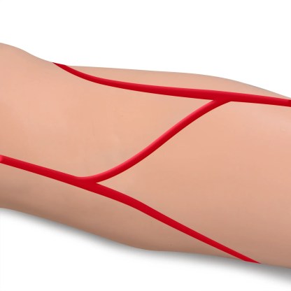 IV Injection Arm for Phlebotomy Venipuncture Cannulation Practice