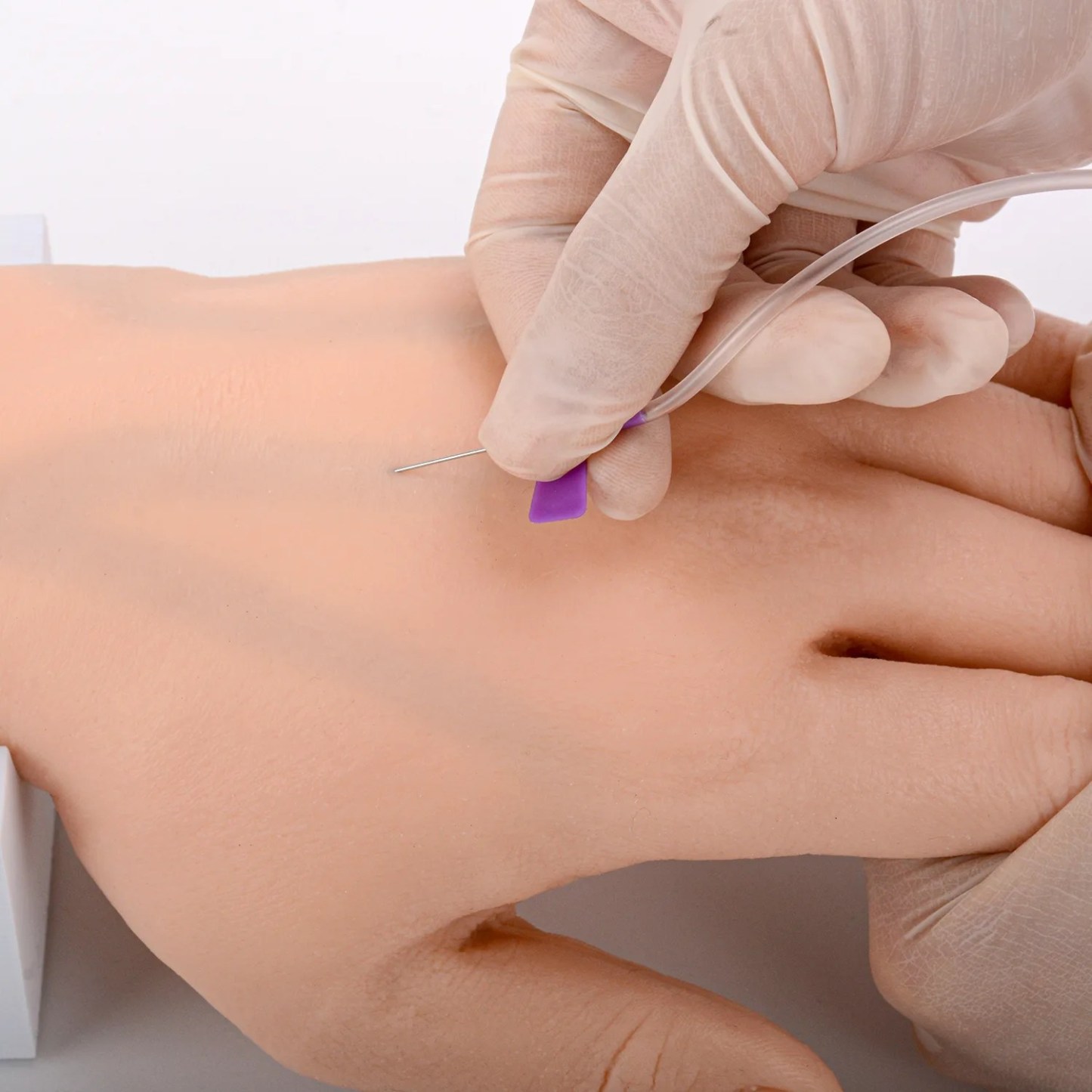 Venipuncture and IV Practice Hand Kit, Adult