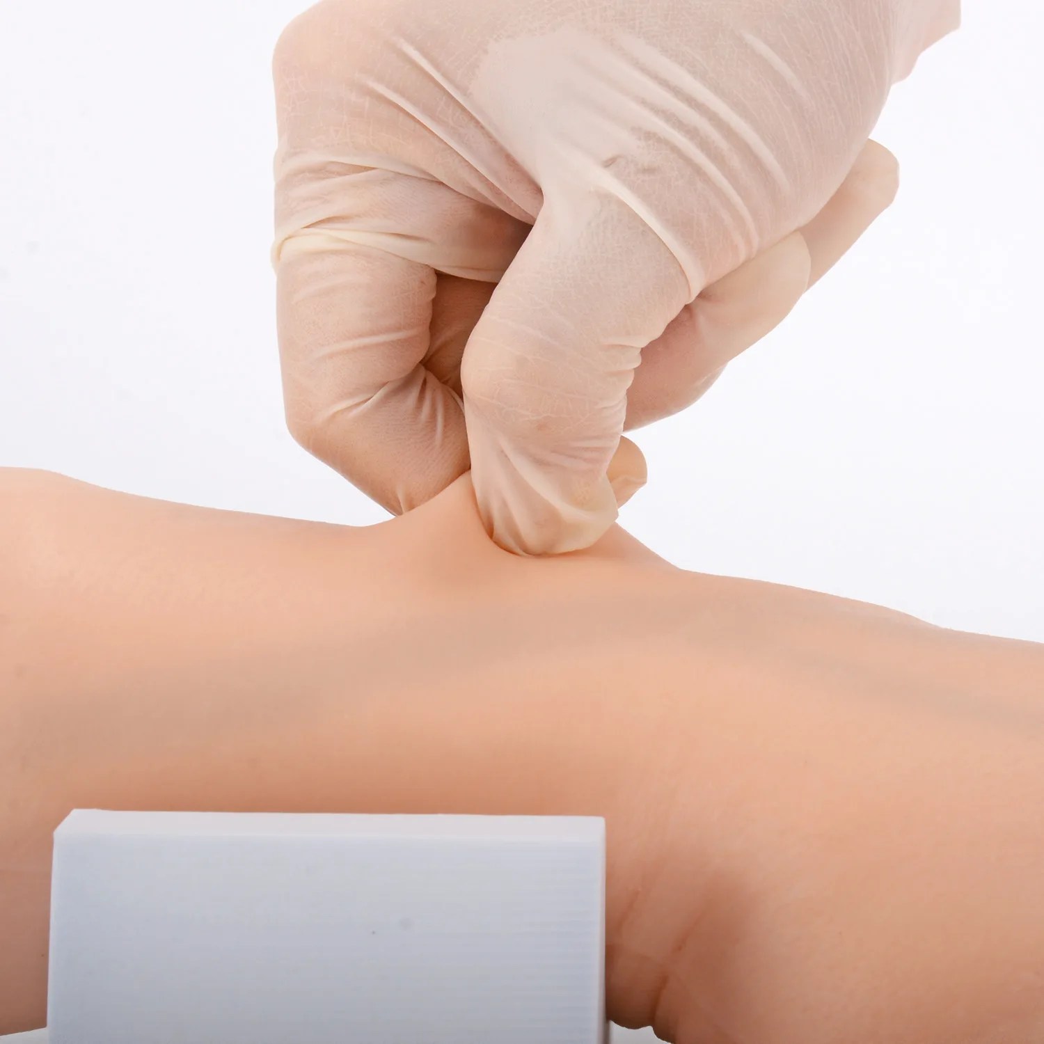 Venipuncture and IV Practice Hand Kit, Adult
