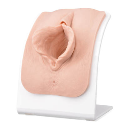 Labiaplasty Training Model for Labia Repair Practice
