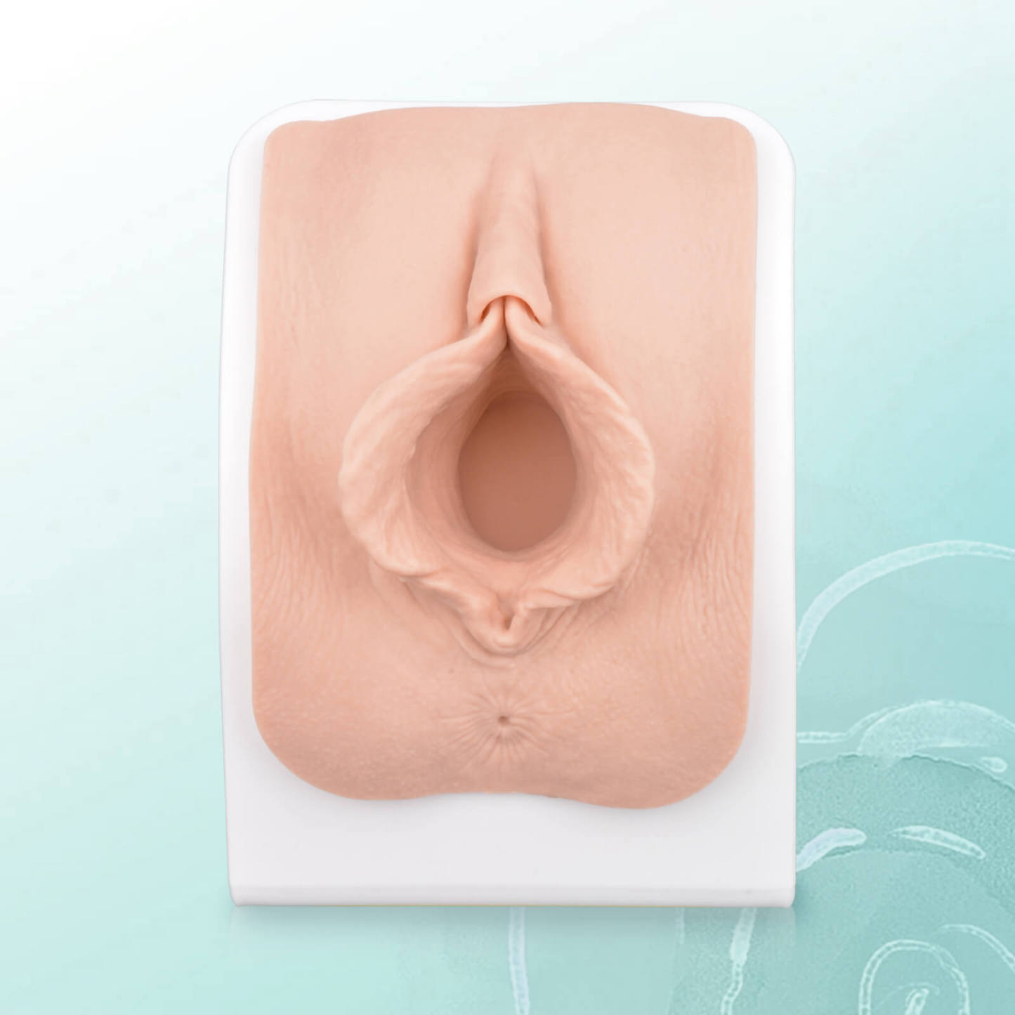 Labiaplasty Surgical Training Model