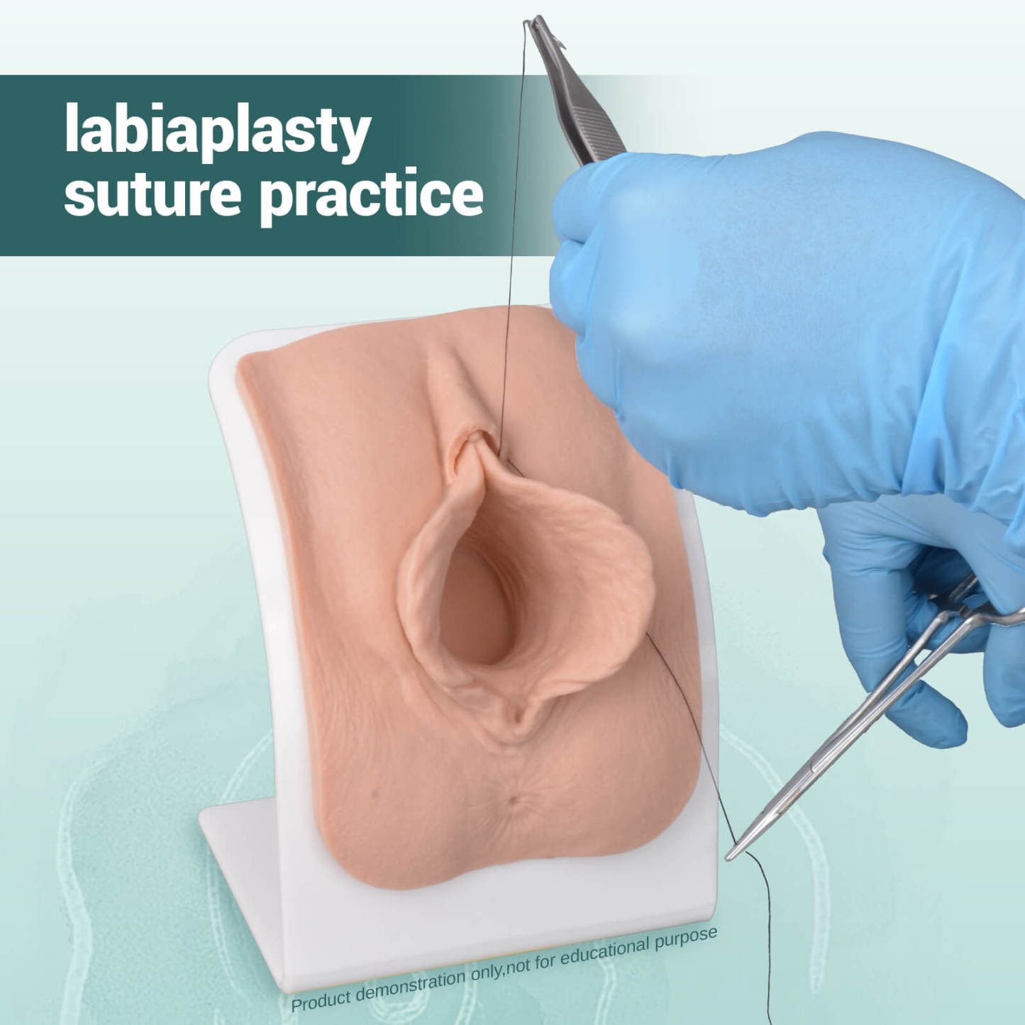 Labia Repair Surgical Training Model with Base