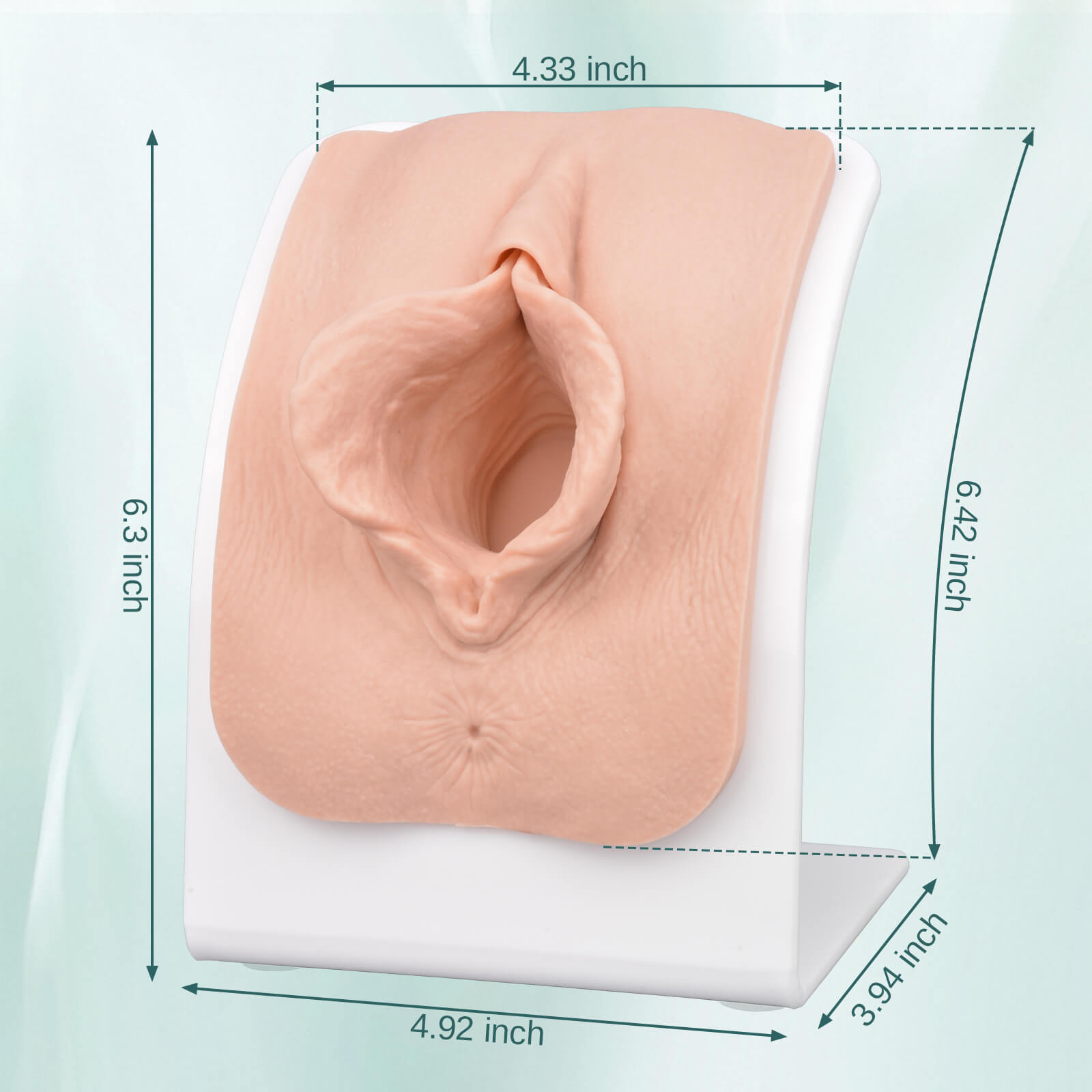 labiaplasty training model silicone labia repair simulator